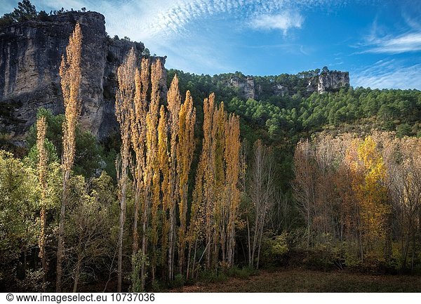 Herbst Schlucht Cuenca Cuenca Provinz