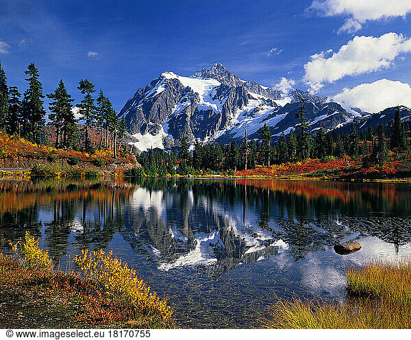 Herbstlaub in der Umgebung des Picture Lake  Mount Baker-Snoqualmie National Forest im North Cascades National Park  Washington State  USA; Washington  Vereinigte Staaten von Amerika