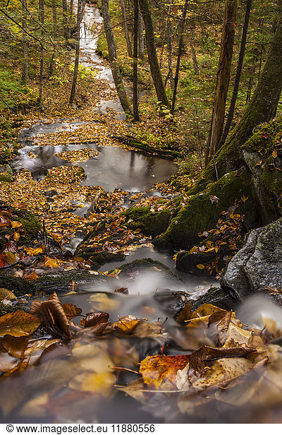 Herbstlich gefärbte Blätter stapeln sich an der Spitze eines Wasserfalls am O'toole Brook in der Nähe von Millers Corner; Nova Scotia  Kanada'.