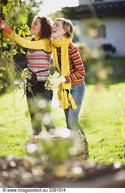 herbstliche Gartenarbeit