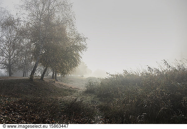 Herbstliche Landschaft  Nebel am Flussufer.
