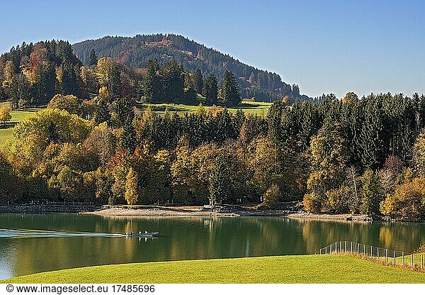 Herbstliche Stimmung mit Mischwald am Forggensee  Schwaben  Bayern  Deutschland  Europa