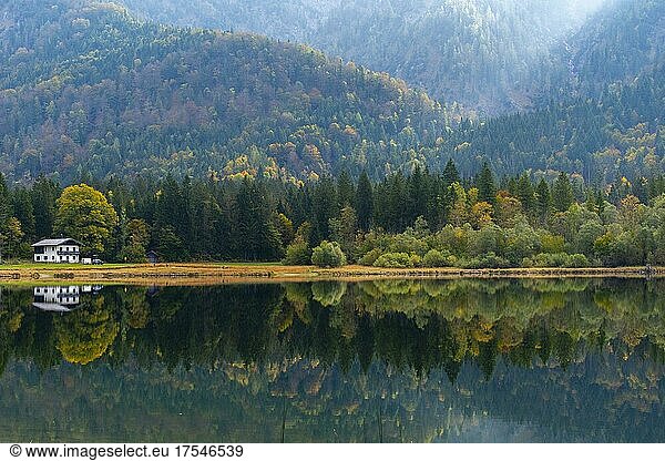 Herbststimmung am Weitsee  Reit im Winkl  Ruhploding  Chiemgauer Alpen  Bayern  Deutschland  Europa