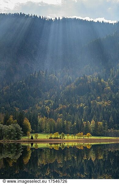 Herbststimmung am Weitsee  Reit im Winkl  Ruhploding  Chiemgauer Alpen  Bayern  Deutschland  Europa
