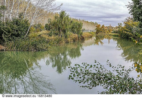 Herbstzeit und Reflexe am Fluss Tajo in Aranjuez. Madrid. Spanien. Europa.
