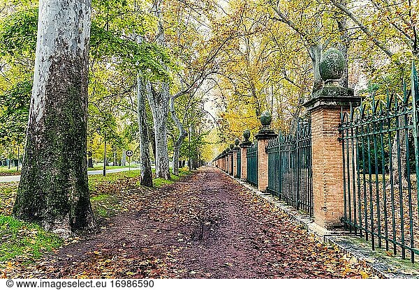 Herbstzeit und Zaun des Prinzengartens. Aranjuez. Madrid. Spanien. Europa.