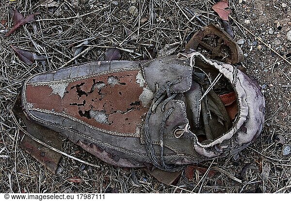 Herrenhalbschuh am Boden  Maroder Schuh aus Leder steht auf Mauer  verrotteter Schuh  Schuhwrack  vergammelter Treter  ausgelatschter Schuh  abgetragener Schuh  alter Schuh