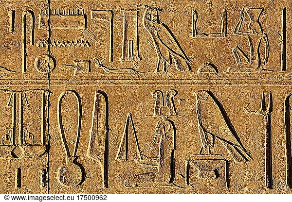 Hieroglyphen  Karnak-Tempel  Luxor  Theben  Ägypten  Luxor  Theben  Ägypten  Afrika