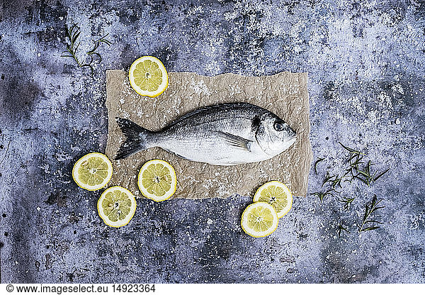 High angle close up of a fresh sea bream  slices of lemon and fresh rosemary.
