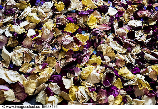 High angle close up of dried flower petals.