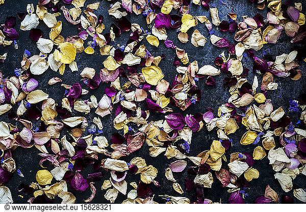 High angle close up of dried flower petals.