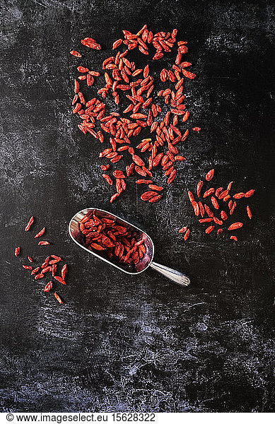 High angle close up of Goji berries and metal scoop on black background.
