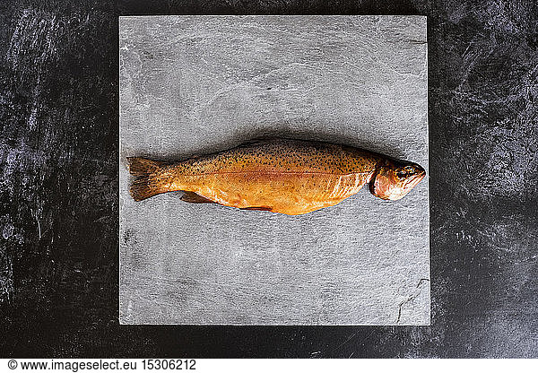 High angle close up of one freshly smoked whole trout on grey background.