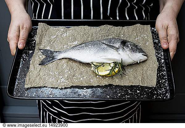 High angle close up of person holding baking tray with fresh sea bream  slices of lemon and rosemary sprigs.