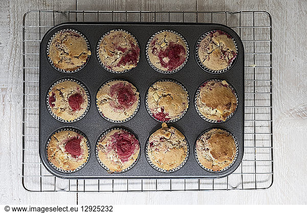 High angle close up of raspberry and white chocolate muffins in a baking tray.