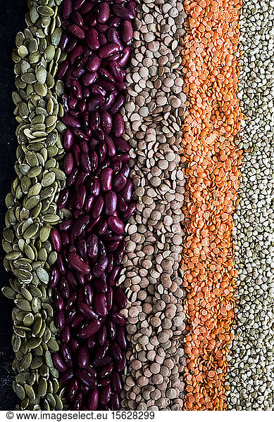 High angle close up of row of dried legumes and seeds in various colours.
