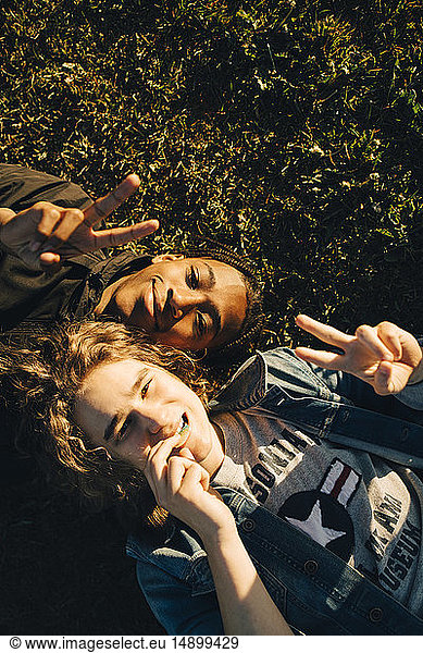 High angle portrait of smiling friends gesturing peace sign while lying on field during sunny day