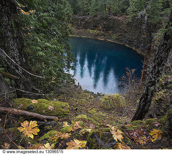 High angle view of blue pool in forest