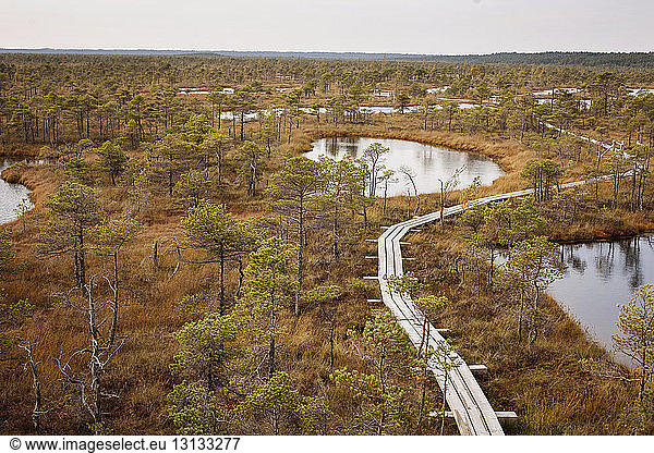 High angle view of boardwalk amidst dry grass