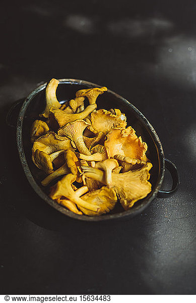 High angle view of Chanterelle mushrooms in container on table