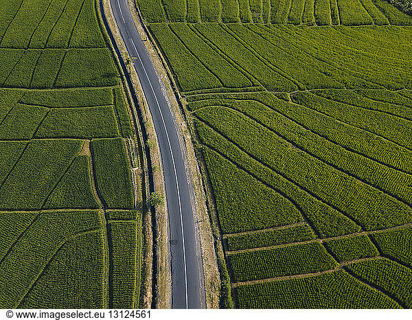 High angle view of empty road amidst agricultural field