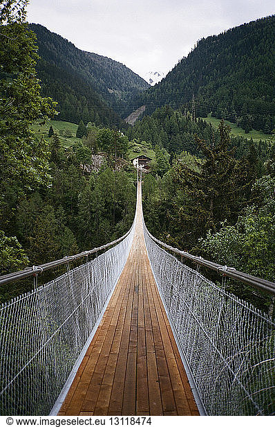 High angle view of footbridge over forest against mountains
