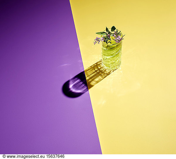 High angle view of gin served on colored background
