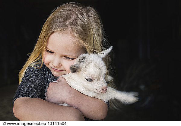 High angle view of girl embracing kid goat