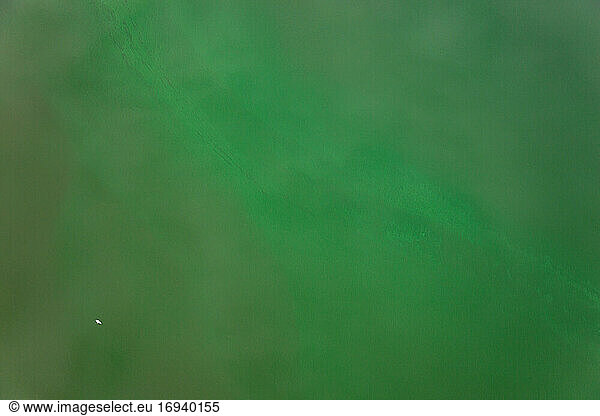 High angle view of Green lake  Rio de Janeiro  Brazil.