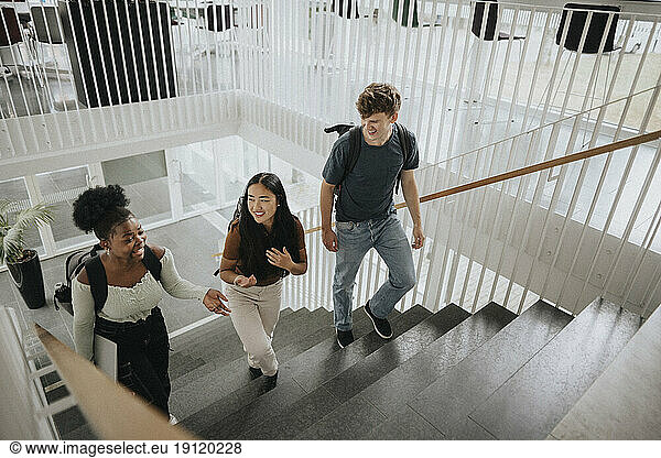 High angle view of happy multiracial students moving up on steps in university