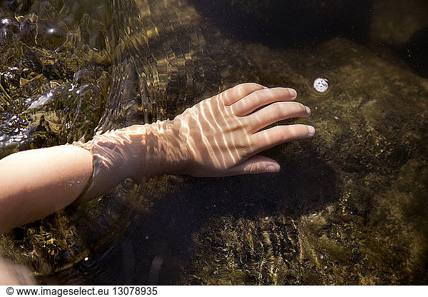 High angle view of human hand in water at river