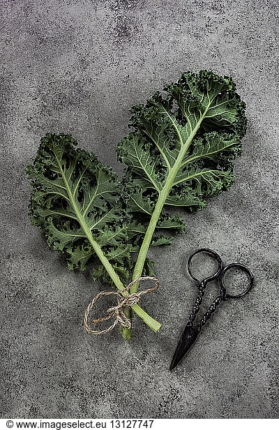 High angle view of leaf vegetable with scissor on table