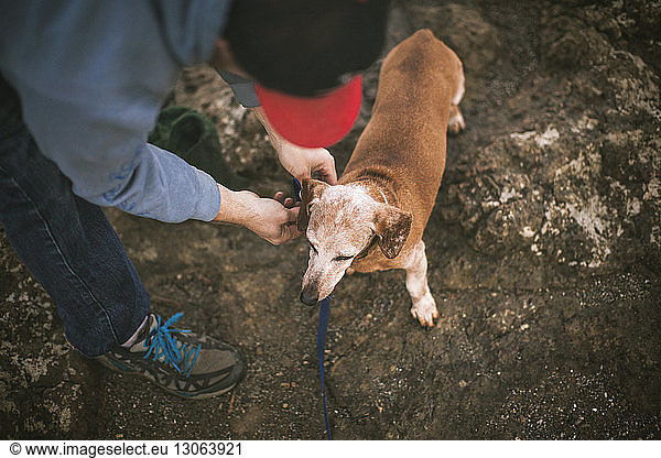 High angle view of man adjusting pet collar on field
