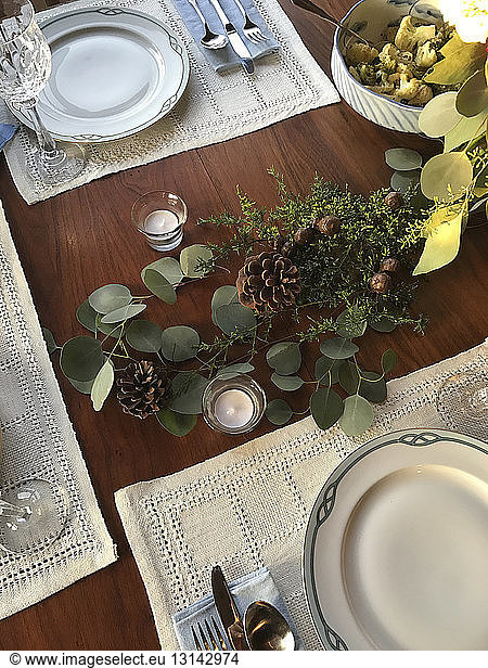 High angle view of plant decoration on dinning table