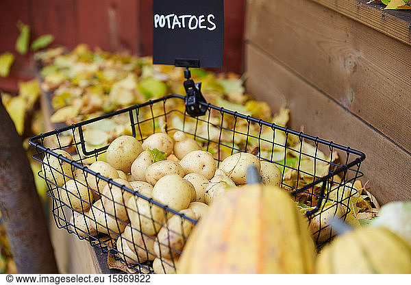 High angle view of raw potatoes in basket at table