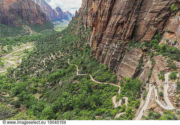 High angle view of switchbacks on trail to top of Angels Landing in Zion National Park  Utah  USA