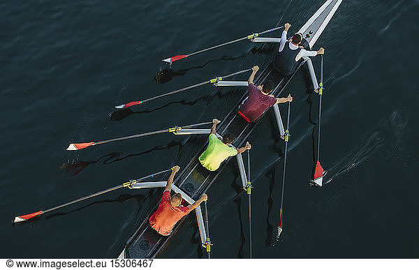 High angle view of unrecognizable male crew racers  Lake Union  Seattle  Washington