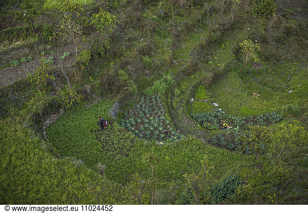 High angle view of villagers working on terraced field