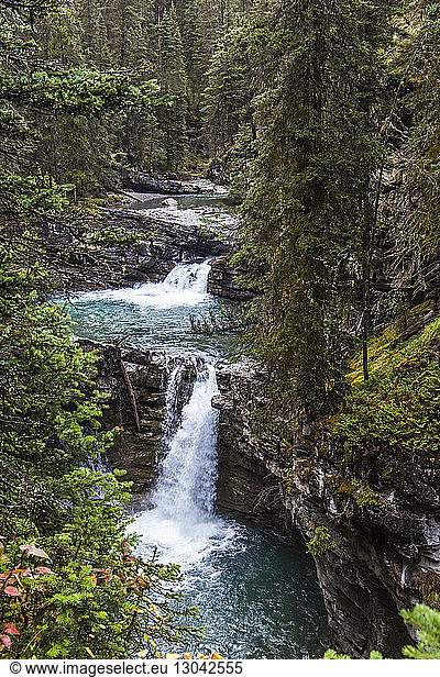 High angle view of waterfalls amidst forest at Banff National Park