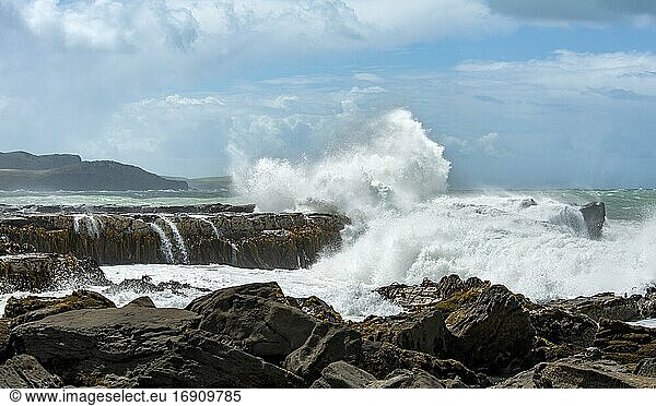 High waves  splashing spray  waves beating against rocky coastline  stormy sea  Curio Bay  Southlands  South Island  New Zealand  Oceania