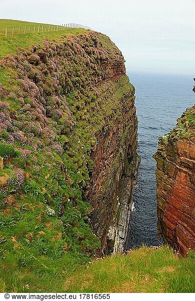 Highlands  Duncansby Head ist die Nordostspitze von Schottland  zerklüftete Felsformationen  in den Klippen nisten viele seltene Seevögel  Schottland