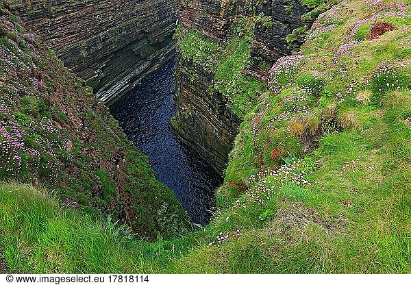 Highlands  Duncansby Head ist die Nordostspitze von Schottland  zerklüftete Felsformationen  in den Klippen nisten viele seltene Seevögel  Schottland