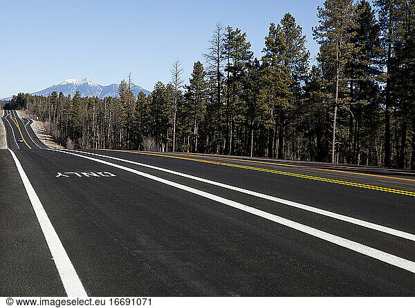 Highway 89 outside of Flagstaff  Arizona  USA