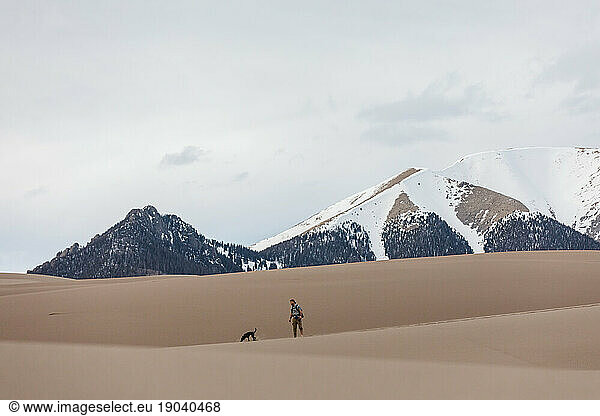 hiker and small dog walk in the great sand dunes under snowy mountains