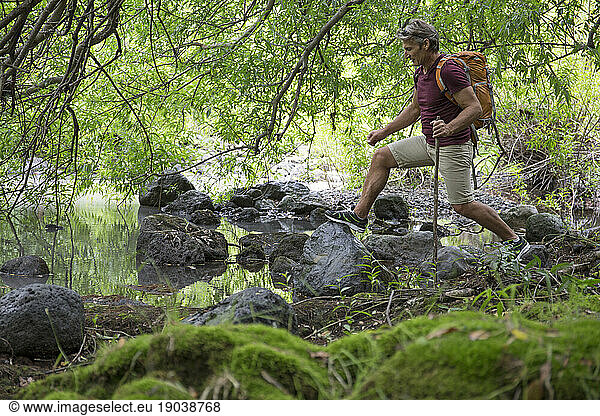 Hiker balances on rocks below forest canopy  stream edge