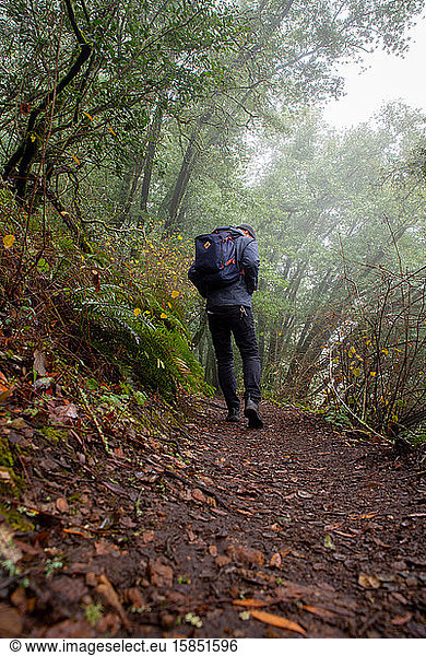 Hiker heading down misty California path on hillside