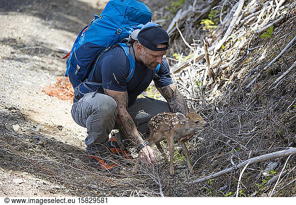 Hiker rescues newborn deer  moves off roadway.