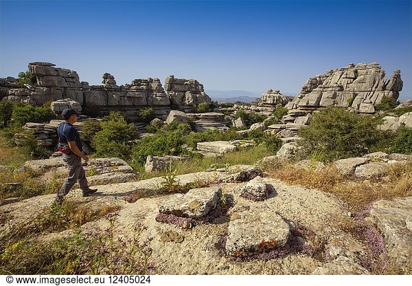Hiker  Torcal de Antequera  Eerosion working on Jurassic limestones  UNESCO World Heritage site. Malaga province Andalusia. Southern Spain Europe.