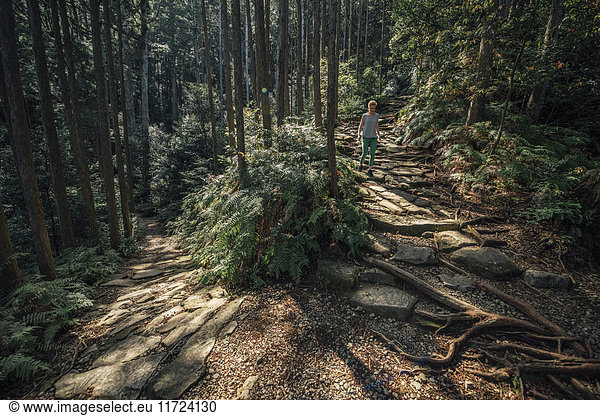 Hiker walking in forest