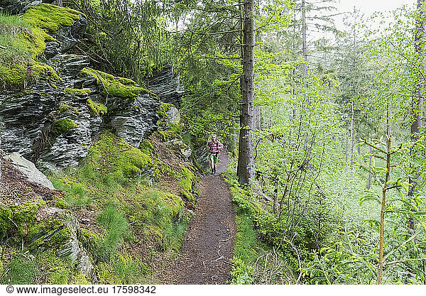Hiker walking on trail in forest